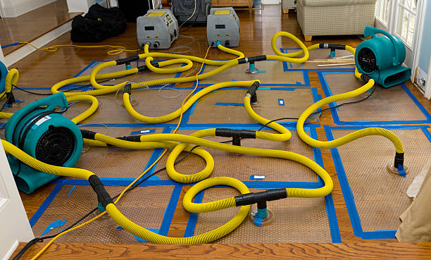 Professional Water Damage Restoration technician working in Westminster, TX